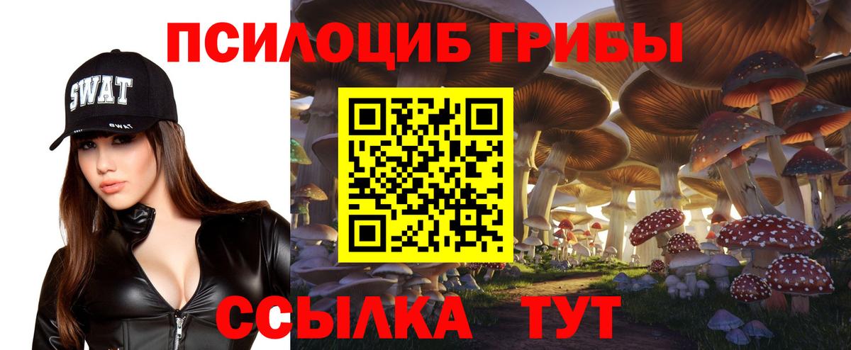 Псилоцибиновые грибы Magic Shrooms  Галлюциногенные грибы Magic Shrooms  Вход с VPN  Павлово 