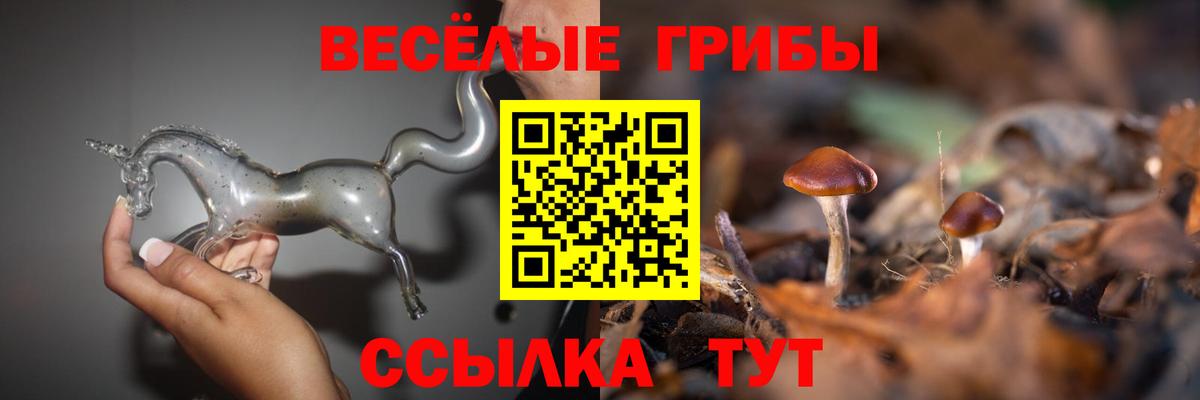 Псилоцибиновые грибы прущие грибы Павлово
