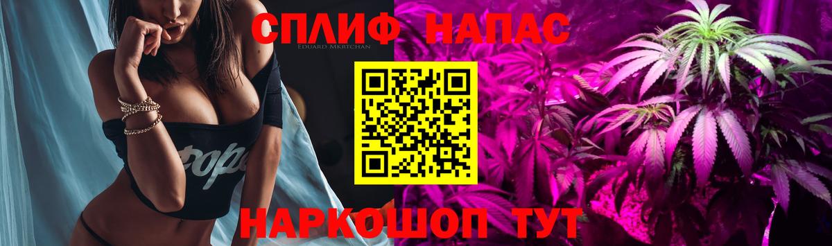 Конопля марихуана Павлово